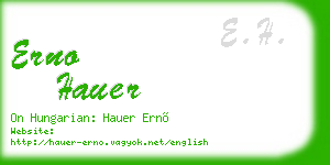 erno hauer business card