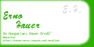erno hauer business card